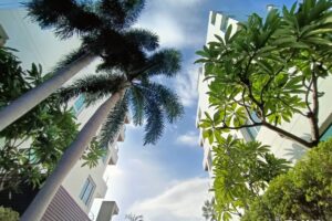 Gallery image #9 from post No BVA4135: Condo For Rent Pattaya Ananya Condo (banglamung) North Pattaya