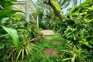Gallery image #2 from post No BVA14548: Condo For Sale Pattaya Baan Haad U Thong Pratumnak