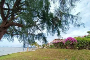 Gallery image #27 from post No BVA21825: Condo For Sale Pattaya Bay View Resort North Pattaya