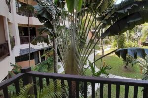 Gallery image #13 from post No BVA8346: Condo For Rent Pattaya Chateau Dale Thabali Jomtien