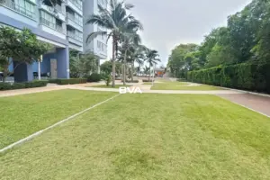 Condo For Sale Pattaya Lumpini Park Beach Jomtien BVA108321