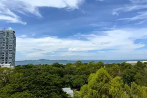 Condo for Sale Pattaya New Nordic VIP 6 Pratumnak BVA112852
