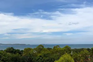 Condo for Sale Pattaya New Nordic VIP 6 Pratumnak BVA112880