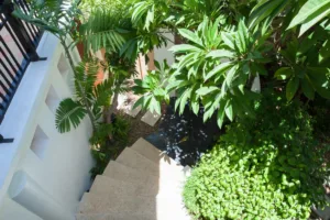 Gallery image #16 from post No BVA20659: House For Sale Pattaya Dharawadi Na Jomtien