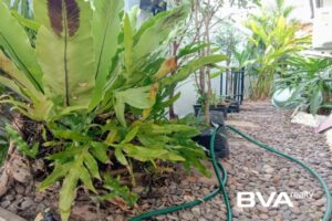 Gallery image #37 from post No BVA14884: House For Rent Pattaya Hillside Village East Pattaya
