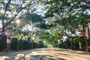 Gallery image #69 from post No BVA14937: House For Rent Pattaya Nusa Chivani Na Jomtien