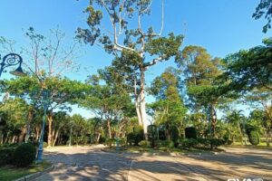 Gallery image #17 from post No BVA16676: House For Rent Pattaya Nusa Chivani Na Jomtien