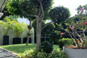 Gallery image #37 from post No BVA10134: House For Rent Pattaya Panalee Banna East Pattaya