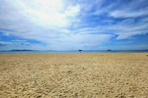 Gallery image #16 from post No BVA8561: Condo For Rent Pattaya Reflection Jomtien