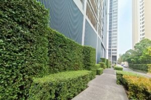 Gallery image #30 from post No BVA2078: Condo For Rent Pattaya Zire Wongamat North Pattaya